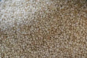 dry uncooked quinoa