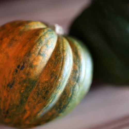 Acorn Squash