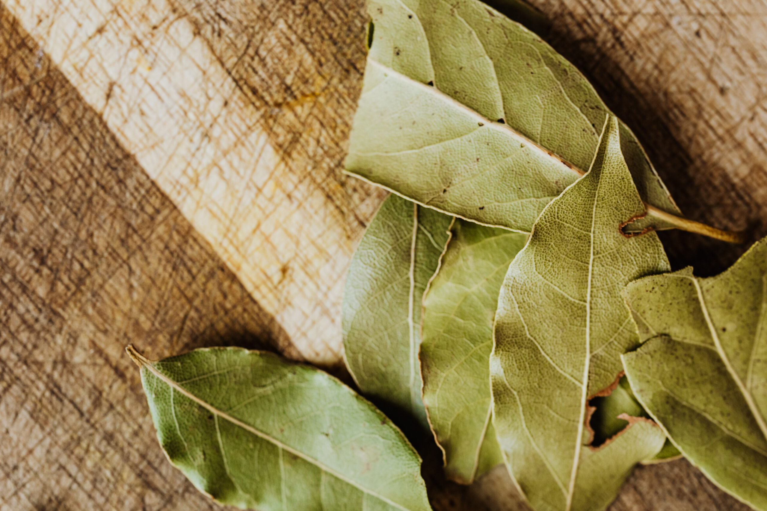 What Are Bay Leaves