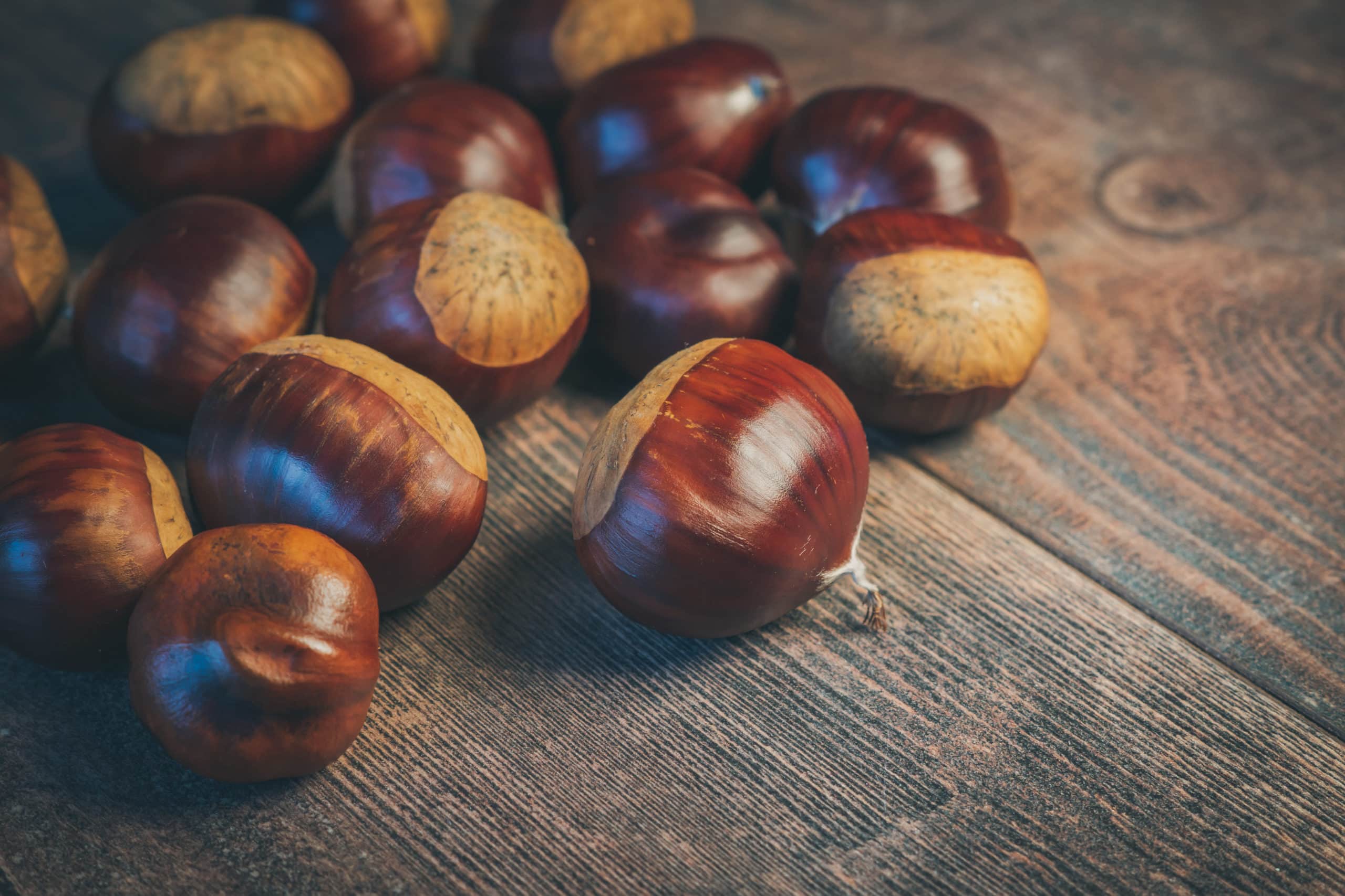 chestnuts